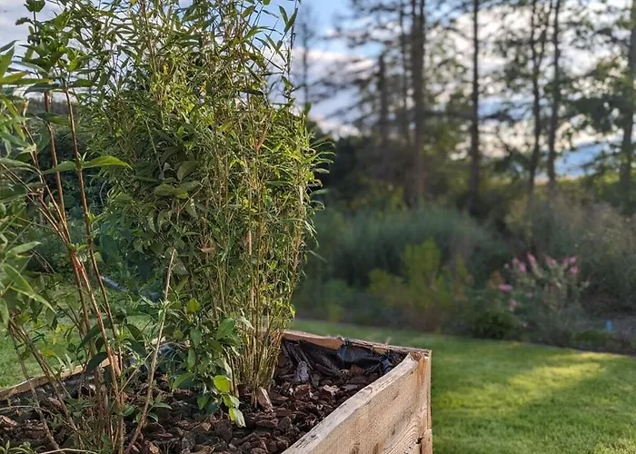 Bergkultur Sauerland Hotel *